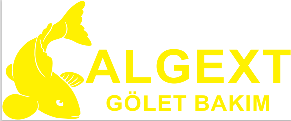 Algext