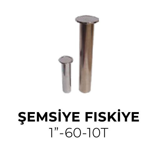 Şemsiye Fıskiye Paslanmz Çelik 1”-60-10T