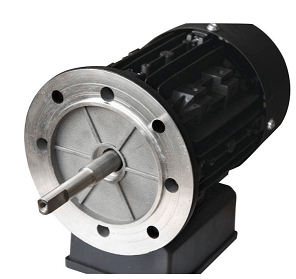 Flooder Kendinden Emişli Havuz Pompaları