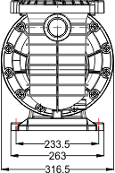 0,75 Hp Florida Serisi Ön Filtreli Pompa (Monofaze)