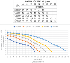 1,00 Hp Florida Serisi Ön Filtreli Pompa (Monofaze)