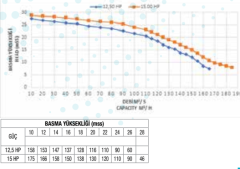 15,00 Hp  Storm Model Ön Filtreli Pompa (Trifaze)