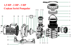 Nozbart Havuz Pompası Çoşkun Serisi 1,5 Hp Çark