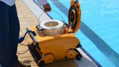 Dolphin Wave 200 Otomatik Havuz Robotu