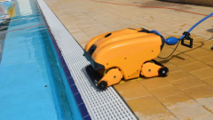 Dolphin Wave 200 Otomatik Havuz Robotu