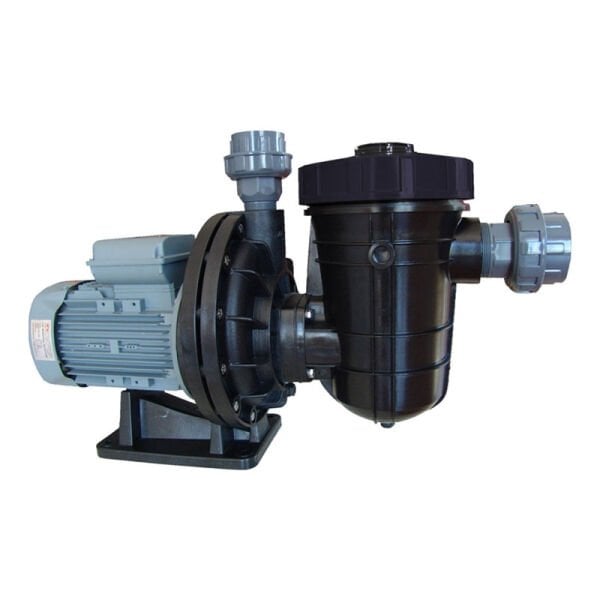 Asit Pompası Ön Filtreli 1,5 HP Monofaze