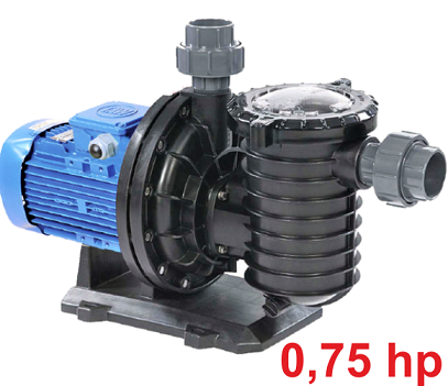 0,75 HP Ön Filtreli Best Model Pompa (Monofaze)
