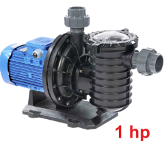 1,00 HP Ön Filtreli Best Model Pompa (Monofaze)