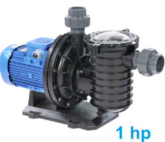 1,00 HP Ön Filtreli Best Model Pompa (Trifaze)
