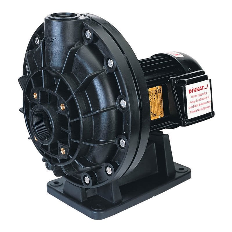 İlk Seri Ön Filtresiz Havuz Pompası
